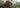 Quelle race de chien choisir pour la chasse ?