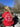 Sweat enfant Princesse des bois
