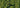 Chien Courant : 10 Conseils pour Bien Vivre sa Première Saison de Chasse