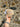 Casquette Chasse Tricolore - beige / blanc