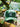 Casquette tête de chien - evergreen / white