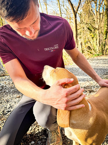 T-shirt L'amour du chien - bordeaux