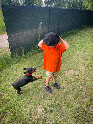 T-shirt enfant L'amour du chien - orange