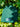 Bonnet "Les valeurs tricolore" - vert forêt