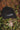 bonnet chasse tricolore noir