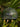 Casquette Chasse Tricolore - Camo Vert foncé