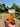 Ecocup Chasse Tricolore