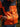Veste sans broderie au dos - orange / noir