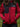 Veste Femme des bois - rouge / noir